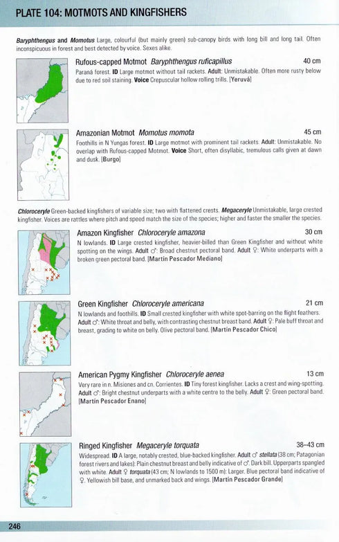 Birds of Argentina and South-west Atlantic - Pearman, M. 2020